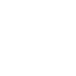 tick